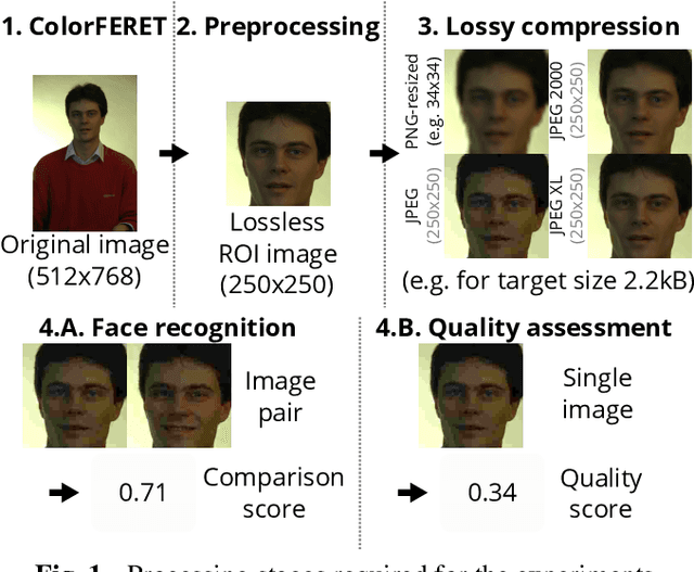 Figure 1 for Effect of Lossy Compression Algorithms on Face Image Quality and Recognition