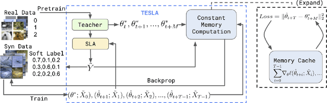 Figure 3 for Scaling Up Dataset Distillation to ImageNet-1K with Constant Memory