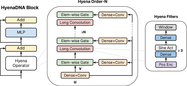 Figure 3 for HyenaDNA: Long-Range Genomic Sequence Modeling at Single Nucleotide Resolution