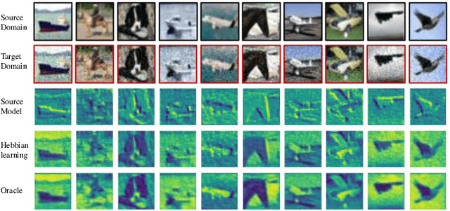 Figure 1 for Neuro-Modulated Hebbian Learning for Fully Test-Time Adaptation