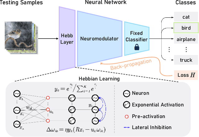 Figure 3 for Neuro-Modulated Hebbian Learning for Fully Test-Time Adaptation