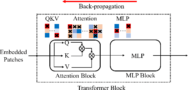 Figure 1 for Transferable Adversarial Attacks on Vision Transformers with Token Gradient Regularization
