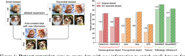 Figure 1 for Expanding Small-Scale Datasets with Guided Imagination