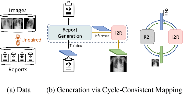 Figure 1 for MedCycle: Unpaired Medical Report Generation via Cycle-Consistency