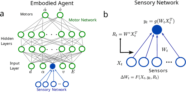Figure 1 for Network bottlenecks and task structure control the evolution of interpretable learning rules in a foraging agent