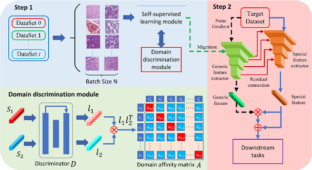 Figure 1 for Stain-Adaptive Self-Supervised Learning for Histopathology Image Analysis