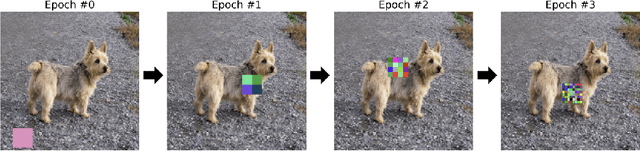 Figure 1 for Colorful Cutout: Enhancing Image Data Augmentation with Curriculum Learning