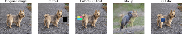Figure 3 for Colorful Cutout: Enhancing Image Data Augmentation with Curriculum Learning