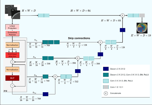 Figure 3 for Muscle volume quantification: guiding transformers with anatomical priors