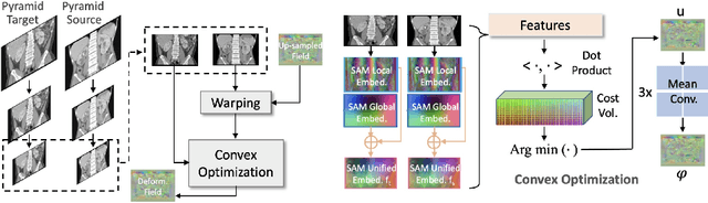 Figure 1 for SAMConvex: Fast Discrete Optimization for CT Registration using Self-supervised Anatomical Embedding and Correlation Pyramid