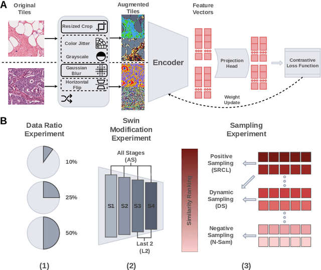 Figure 1 for Reducing self-supervised learning complexity improves weakly-supervised classification performance in computational pathology