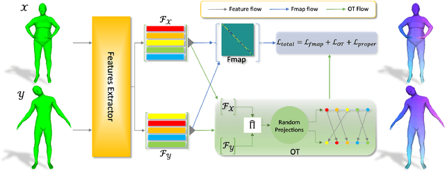 Figure 1 for Integrating Efficient Optimal Transport and Functional Maps For Unsupervised Shape Correspondence Learning