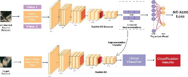 Figure 1 for Domain Adaptable Self-supervised Representation Learning on Remote Sensing Satellite Imagery