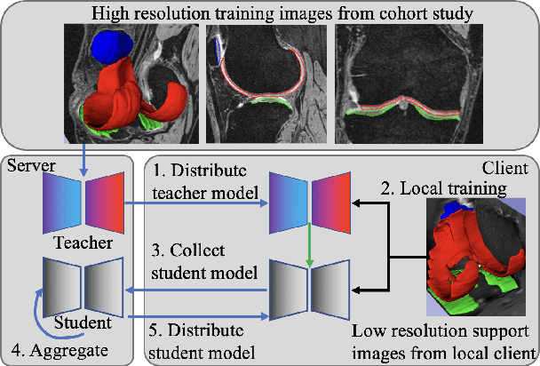 Figure 1 for Dealing With Heterogeneous 3D MR Knee Images: A Federated Few-Shot Learning Method With Dual Knowledge Distillation