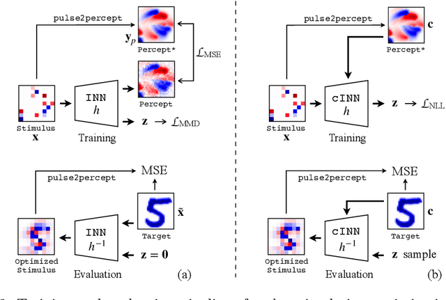 Figure 3 for Optimizing Retinal Prosthetic Stimuli with Conditional Invertible Neural Networks