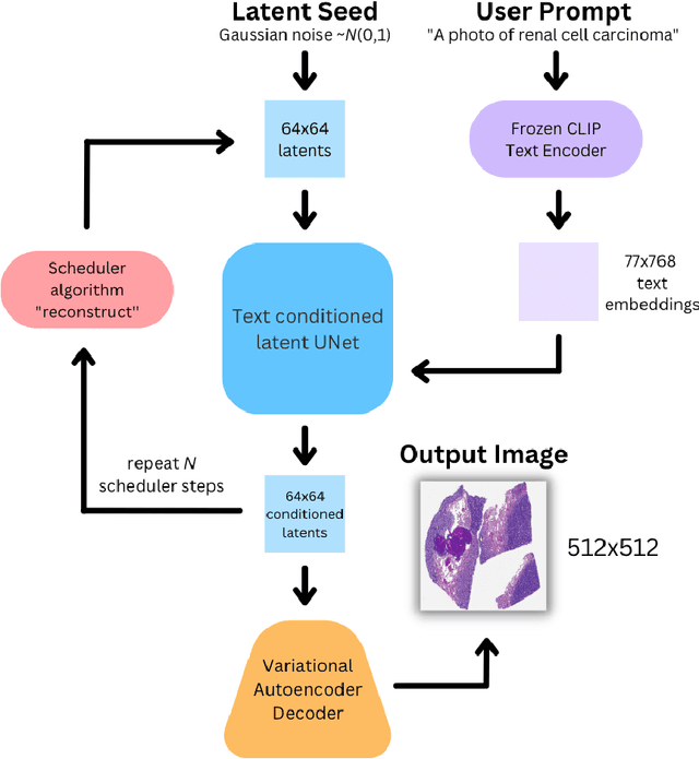 Figure 4 for NephroNet: A Novel Program for Identifying Renal Cell Carcinoma and Generating Synthetic Training Images with Convolutional Neural Networks and Diffusion Models