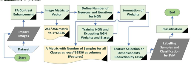 Figure 4 for Neural Gas Network Image Features and Segmentation for Brain Tumor Detection Using Magnetic Resonance Imaging Data