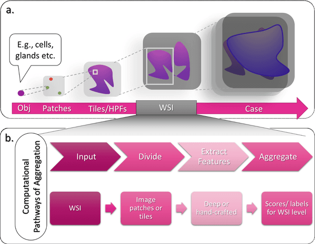 Figure 1 for An Aggregation of Aggregation Methods in Computational Pathology