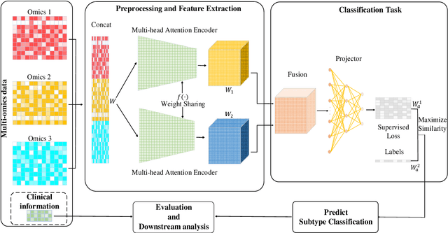Figure 1 for PACS: Prediction and analysis of cancer subtypes from multi-omics data based on a multi-head attention mechanism model