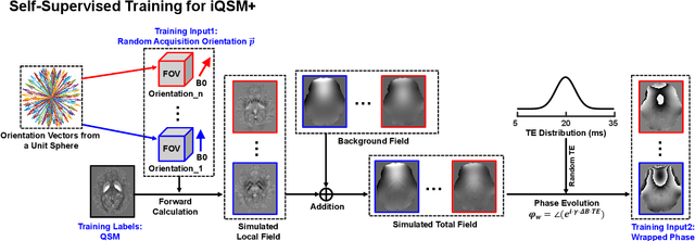 Figure 2 for Plug-and-Play Latent Feature Editing for Orientation-Adaptive Quantitative Susceptibility Mapping Neural Networks