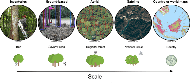 Figure 3 for OpenForest: A data catalogue for machine learning in forest monitoring