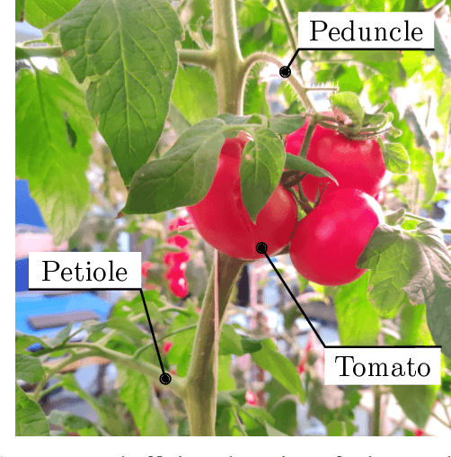 Figure 1 for Efficient Search and Detection of Relevant Plant Parts using Semantics-Aware Active Vision