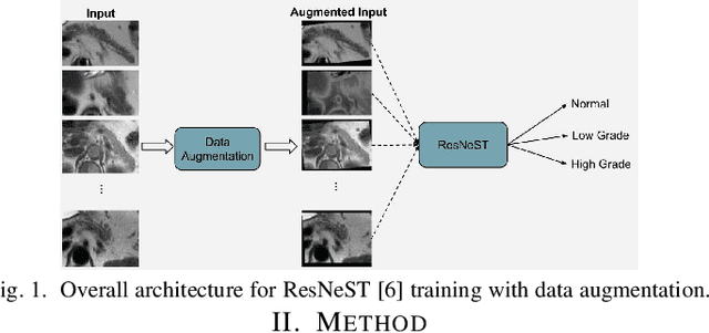 Figure 1 for A Critical Appraisal of Data Augmentation Methods for Imaging-Based Medical Diagnosis Applications