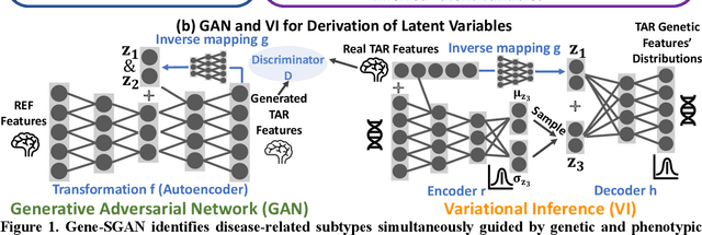Figure 1 for Gene-SGAN: a method for discovering disease subtypes with imaging and genetic signatures via multi-view weakly-supervised deep clustering