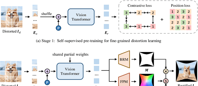 Figure 3 for SimFIR: A Simple Framework for Fisheye Image Rectification with Self-supervised Representation Learning