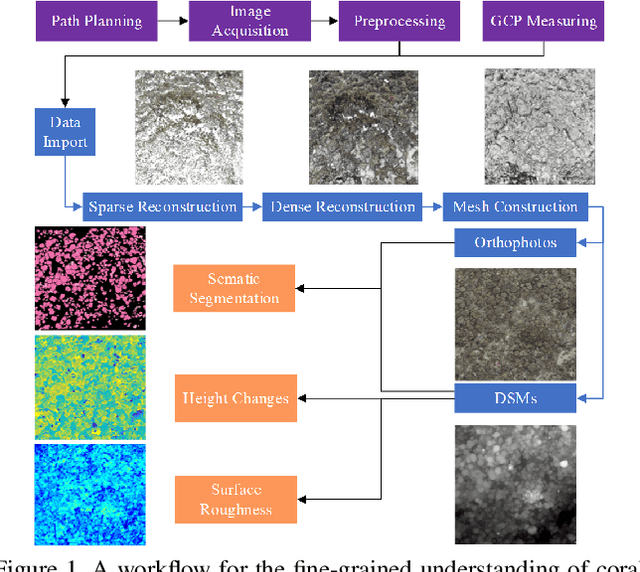 Figure 1 for Combining Photogrammetric Computer Vision and Semantic Segmentation for Fine-grained Understanding of Coral Reef Growth under Climate Change