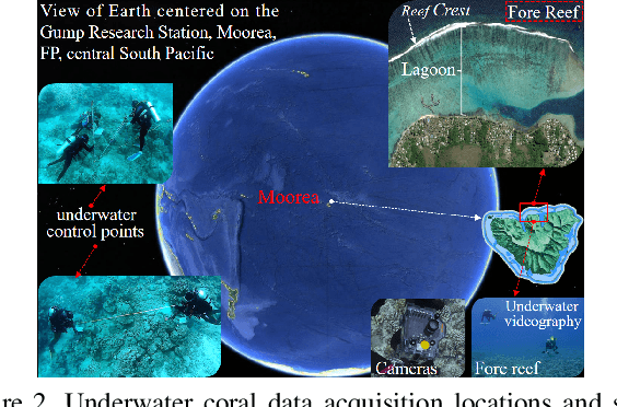 Figure 3 for Combining Photogrammetric Computer Vision and Semantic Segmentation for Fine-grained Understanding of Coral Reef Growth under Climate Change