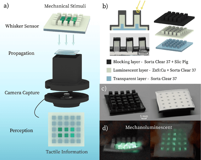 Figure 1 for WSTac: Interactive Surface Perception based on Whisker-Inspired and Self-Illuminated Vision-Based Tactile Sensor