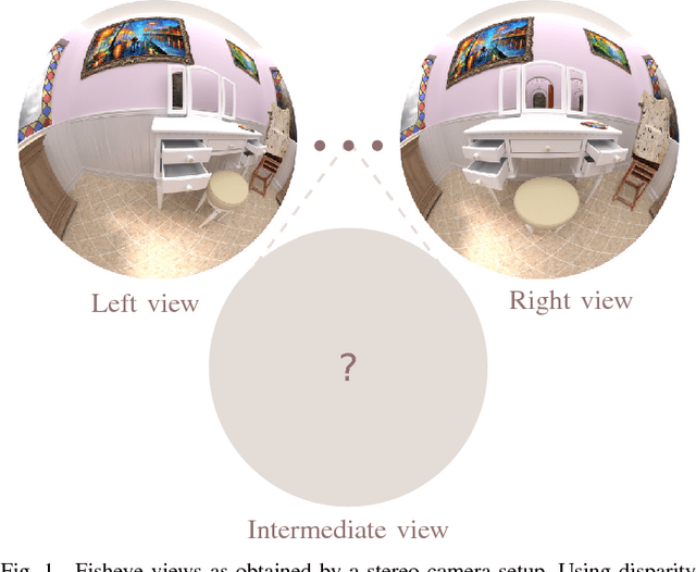 Figure 1 for Disparity estimation for fisheye images with an application to intermediate view synthesis