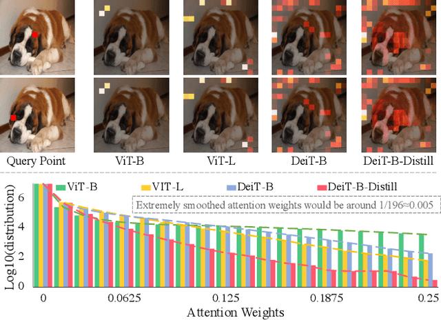 Figure 1 for A Close Look at Spatial Modeling: From Attention to Convolution