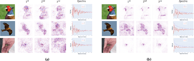 Figure 1 for SpecXAI -- Spectral interpretability of Deep Learning Models