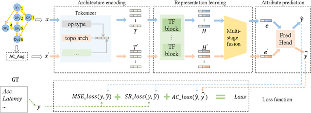 Figure 1 for NAR-Former: Neural Architecture Representation Learning towards Holistic Attributes Prediction