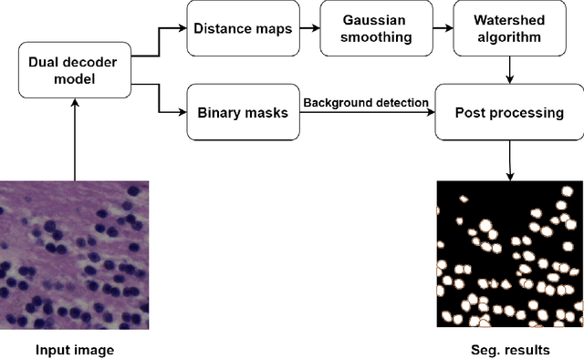 Figure 2 for Improving Generalization Capability of Deep Learning-Based Nuclei Instance Segmentation by Non-deterministic Train Time and Deterministic Test Time Stain Normalization