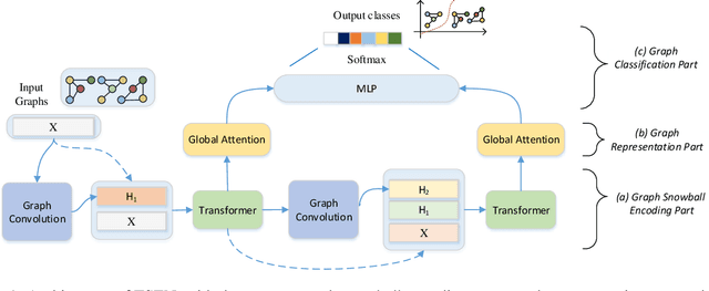 Figure 1 for Transformer and Snowball Graph Convolution Learning for Biomedical Graph Classification