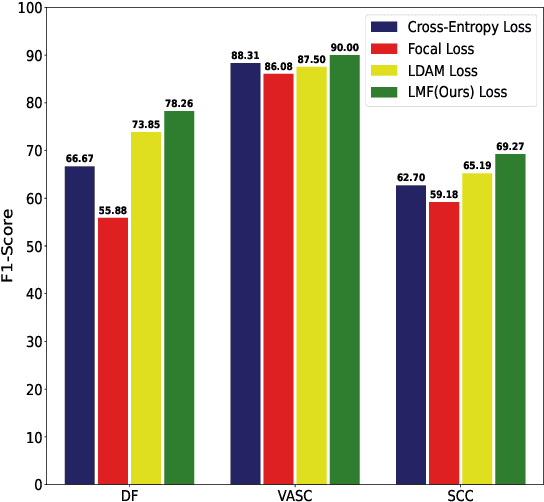 Figure 1 for LMFLOSS: A Hybrid Loss For Imbalanced Medical Image Classification