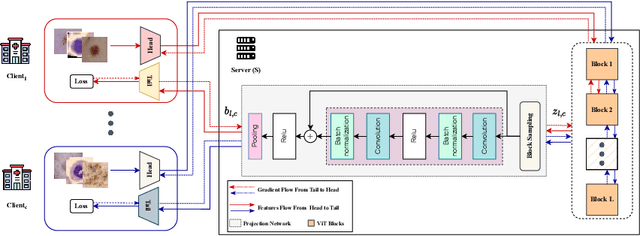 Figure 1 for FeSViBS: Federated Split Learning of Vision Transformer with Block Sampling