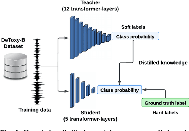 Figure 3 for Lightweight Toxicity Detection in Spoken Language: A Transformer-based Approach for Edge Devices
