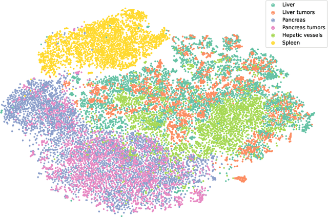 Figure 4 for vox2vec: A Framework for Self-supervised Contrastive Learning of Voxel-level Representations in Medical Images