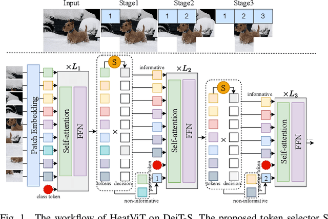 Figure 1 for HeatViT: Hardware-Efficient Adaptive Token Pruning for Vision Transformers