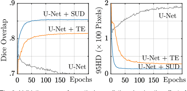 Figure 3 for SUD: Supervision by Denoising for Medical Image Segmentation