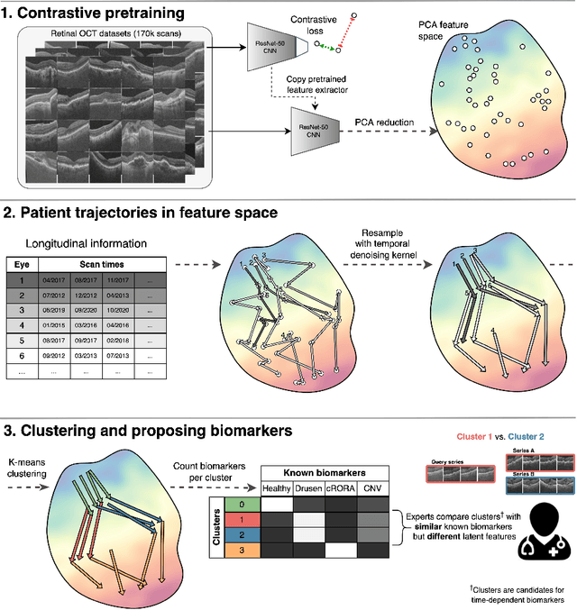 Figure 1 for Clustering disease trajectories in contrastive feature space for biomarker discovery in age-related macular degeneration