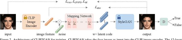 Figure 2 for CLIP2GAN: Towards Bridging Text with the Latent Space of GANs