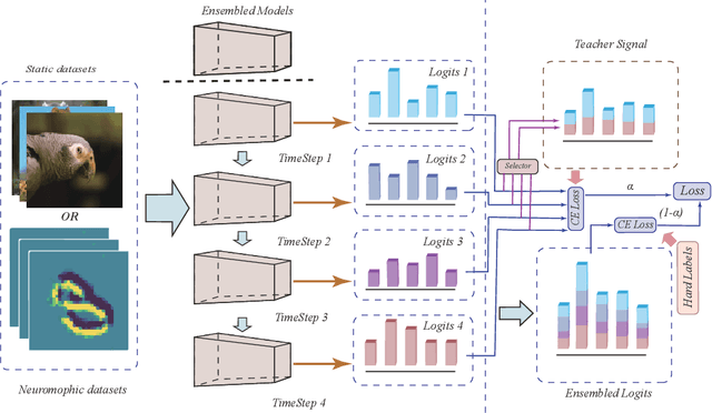Figure 3 for Temporal Knowledge Sharing enable Spiking Neural Network Learning from Past and Future