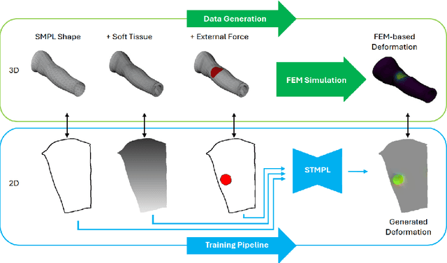 Figure 3 for STMPL: Human Soft-Tissue Simulation