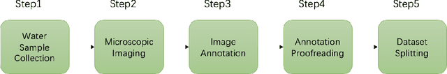 Figure 1 for Marine Microalgae Detection in Microscopy Images: A New Dataset