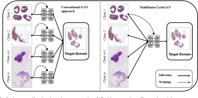 Figure 1 for Multi-domain stain normalization for digital pathology: A cycle-consistent adversarial network for whole slide images